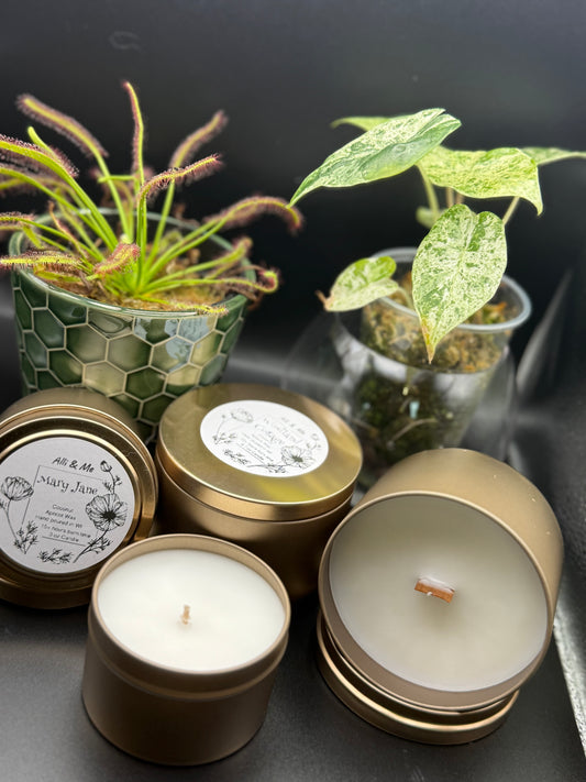 4.7 oz Apricot/Coconut Wax Candle